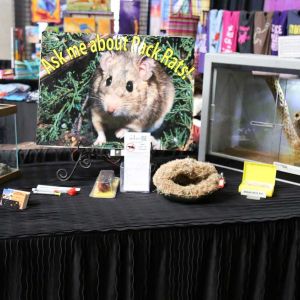 Packrat exhibit