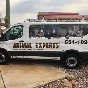 side of the Animal Experts work van.