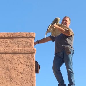Jeff and a great horned owl
