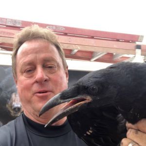Marc with a crow