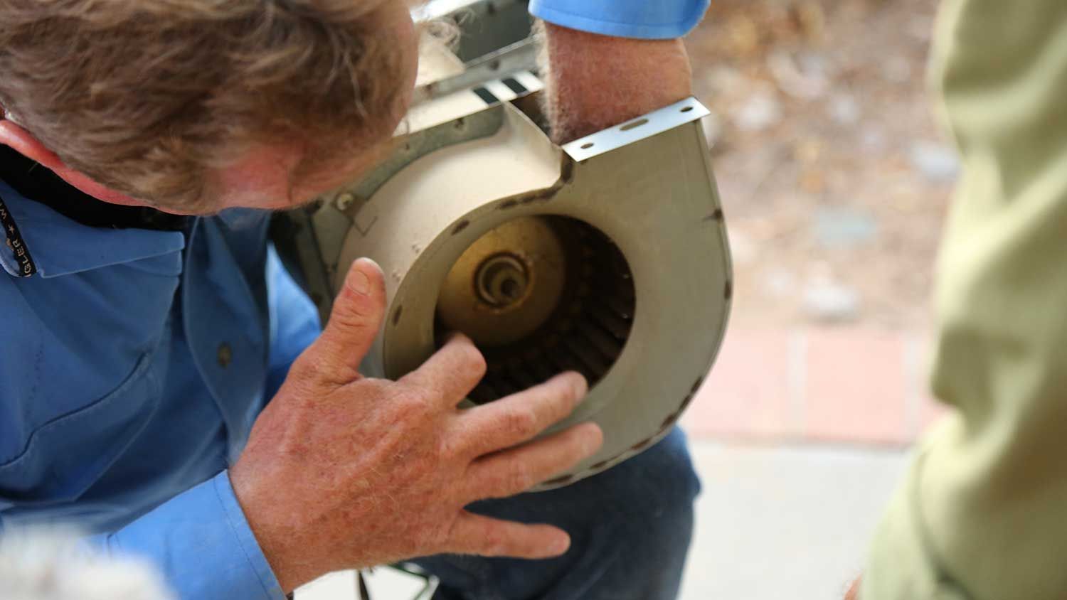 Searching for pack rats