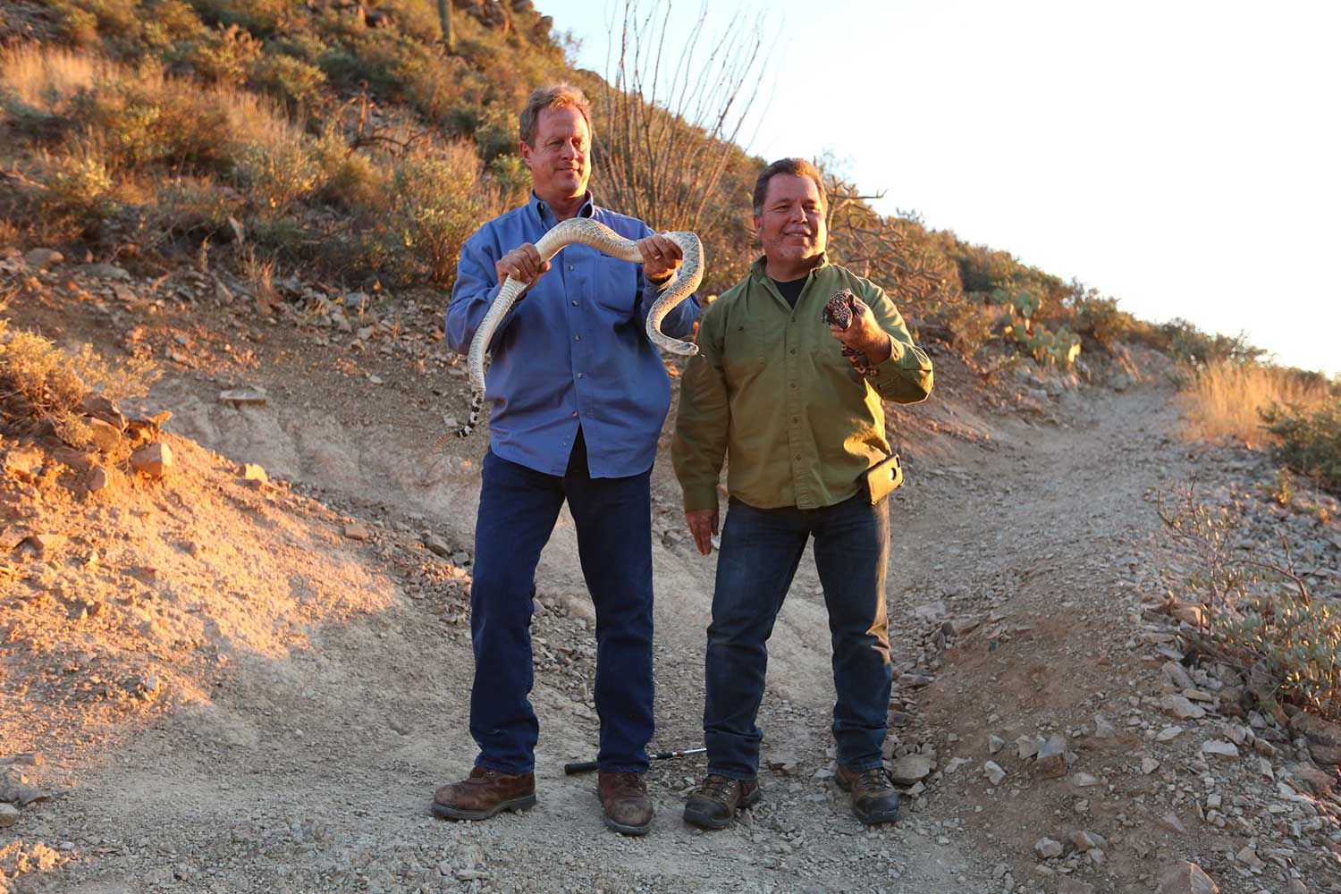 Snake proofing house