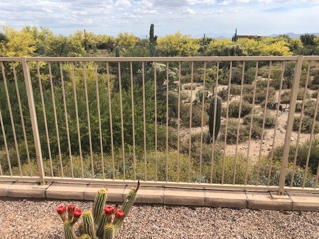 Snake proofing house