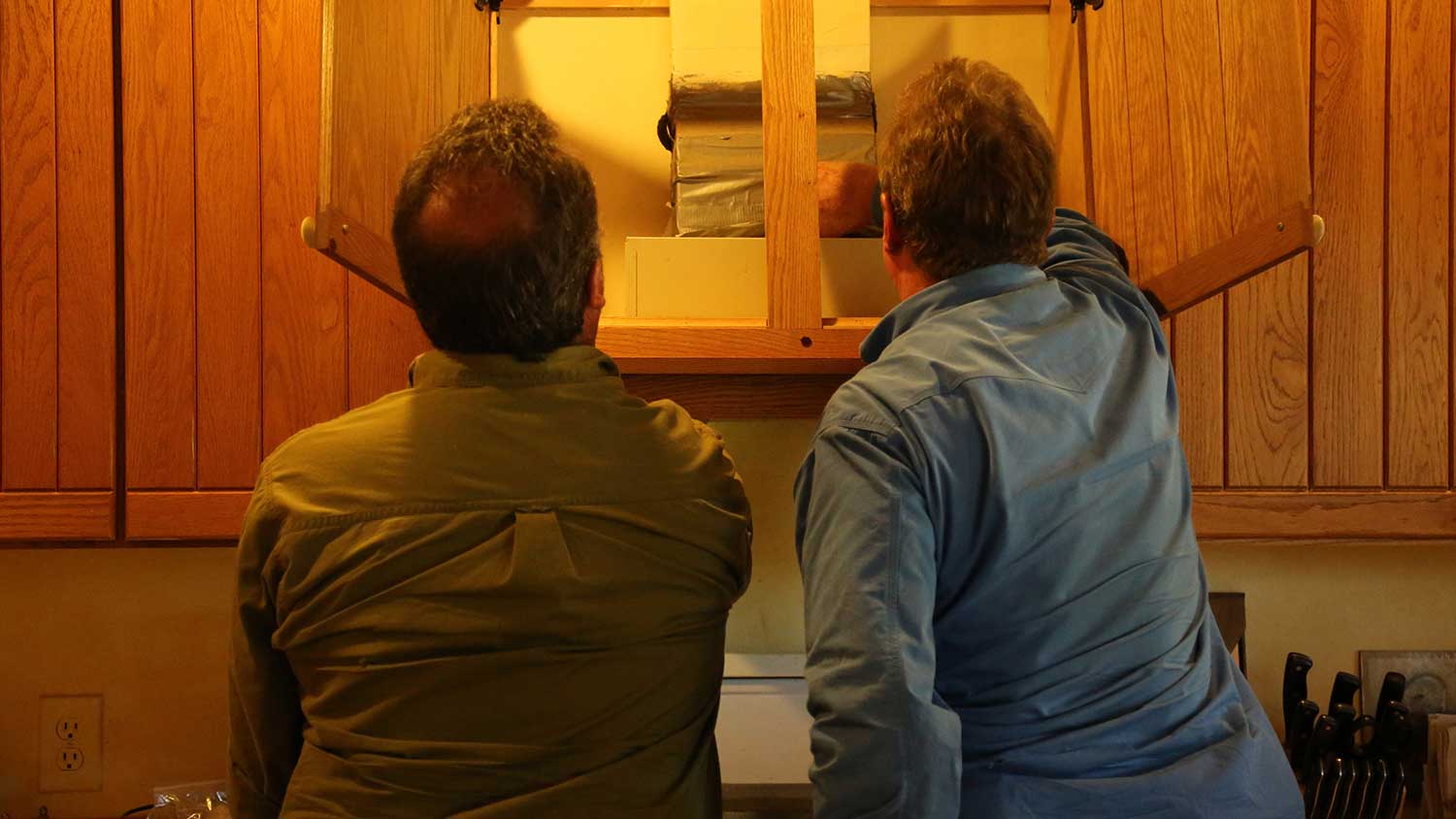 Looking for pack rats